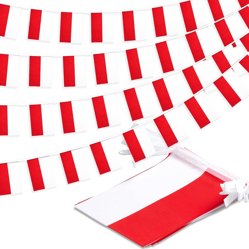 MVPRING Poland String Flag Pennant Banner, Small Mini Polish Flags Bunting Banner, National Country Decoration for School, Party, Sports Events, Patriotic Festival, 33 Feet 30 Flags - Image 1